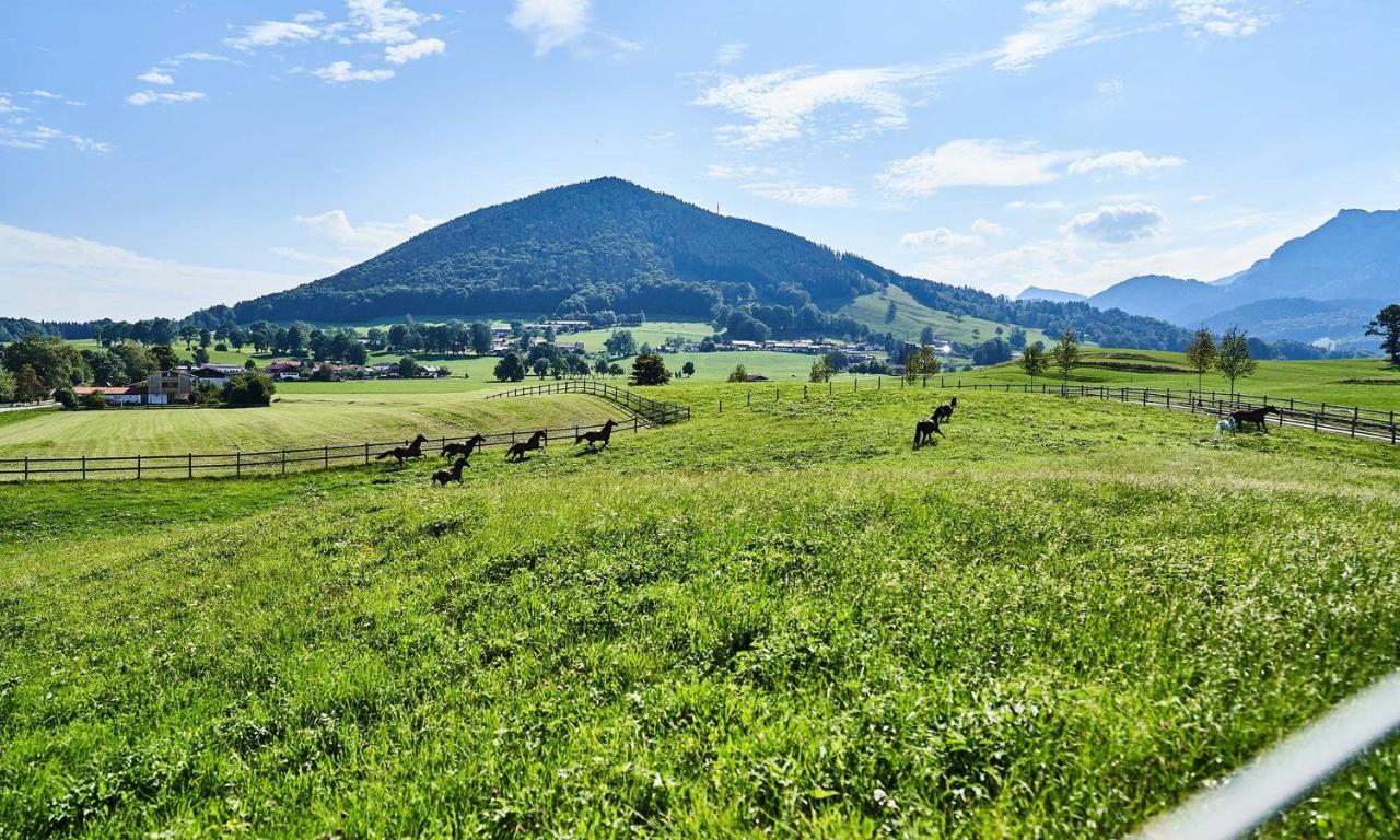Hof Hauserbichl Fischbachau Exteriör bild