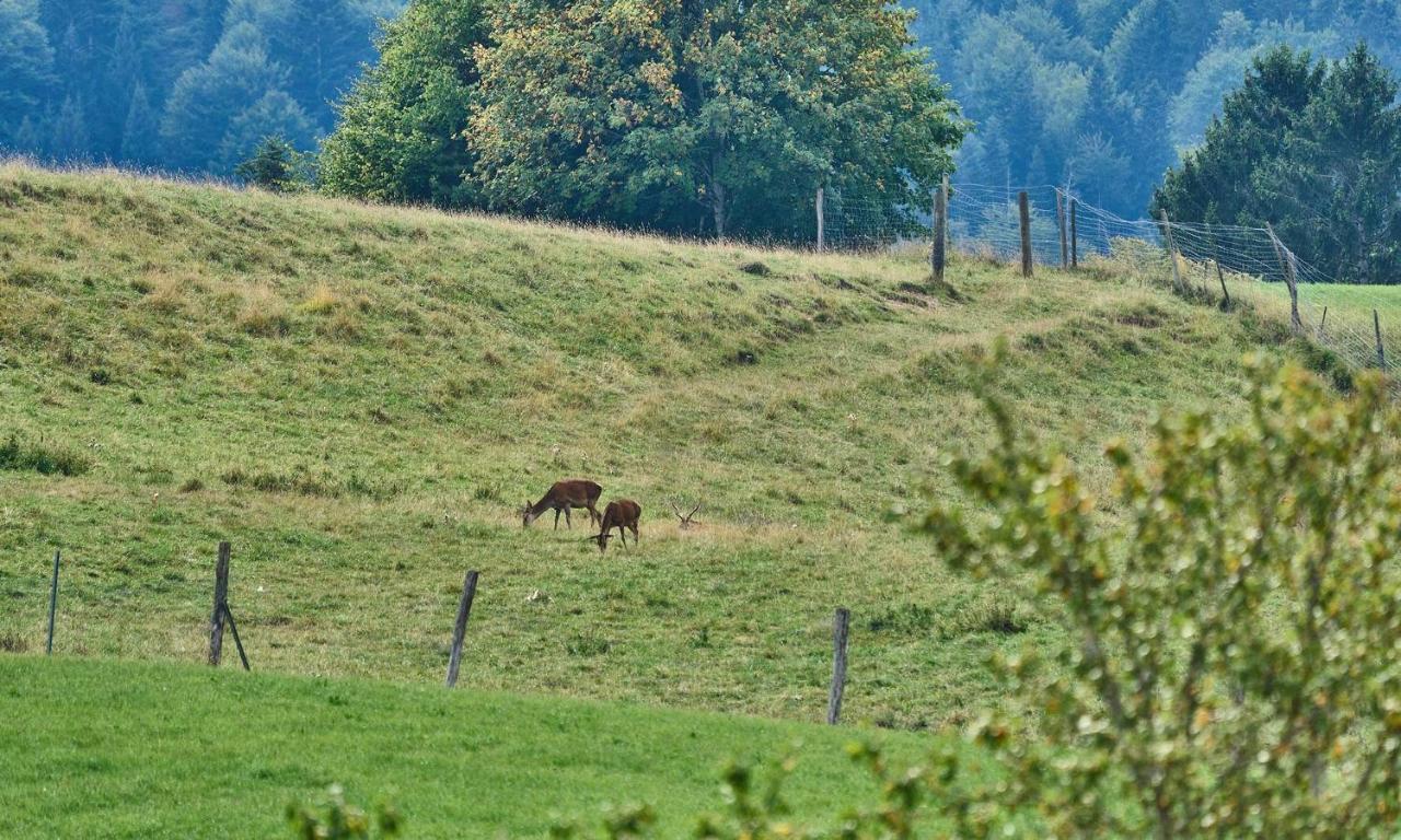 Hof Hauserbichl Fischbachau Exteriör bild